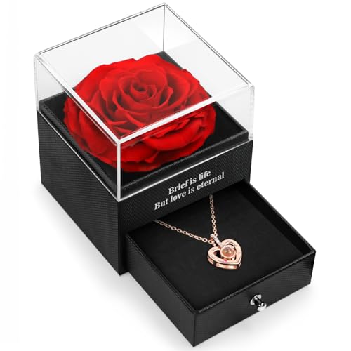 HEGUD Preserved Real Rose for Mom with I Love You Necklace in 100 Language Girlfriend, Eternal Real Rose Flower Gifts for Women Mom Wife on Mothers Day Birthday Anniversaries - Image 1