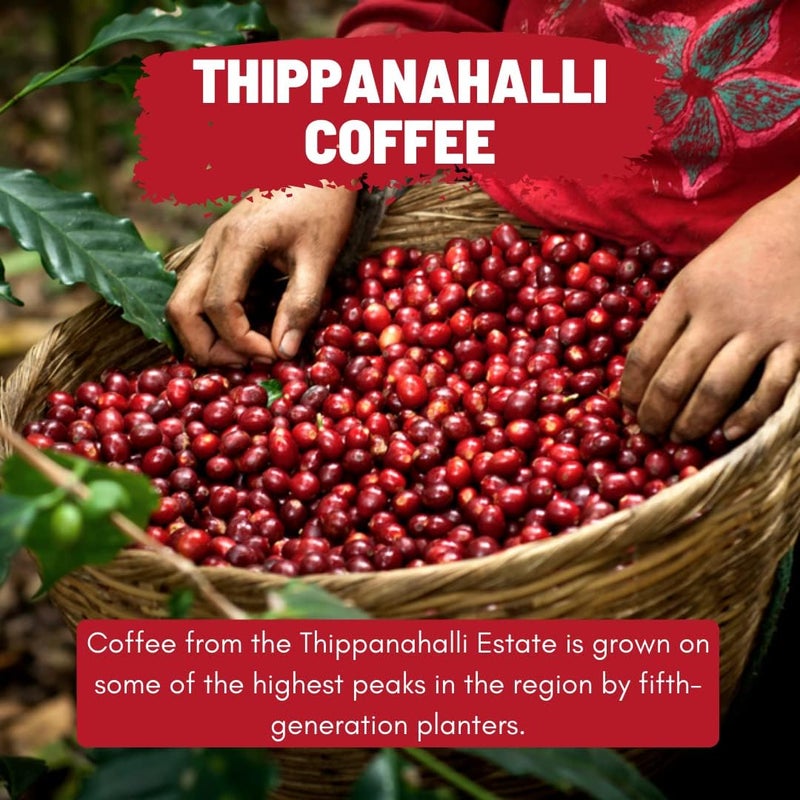 Toffee Coffee Roasters | Thippanahalli Coffee | As Seen On Shark Tank | Single Origin Coffee | Arabica | Dark Roast | Grounded Coffee Notes: Nutty and Chocolaty (French Press, 250gm) - Image 3