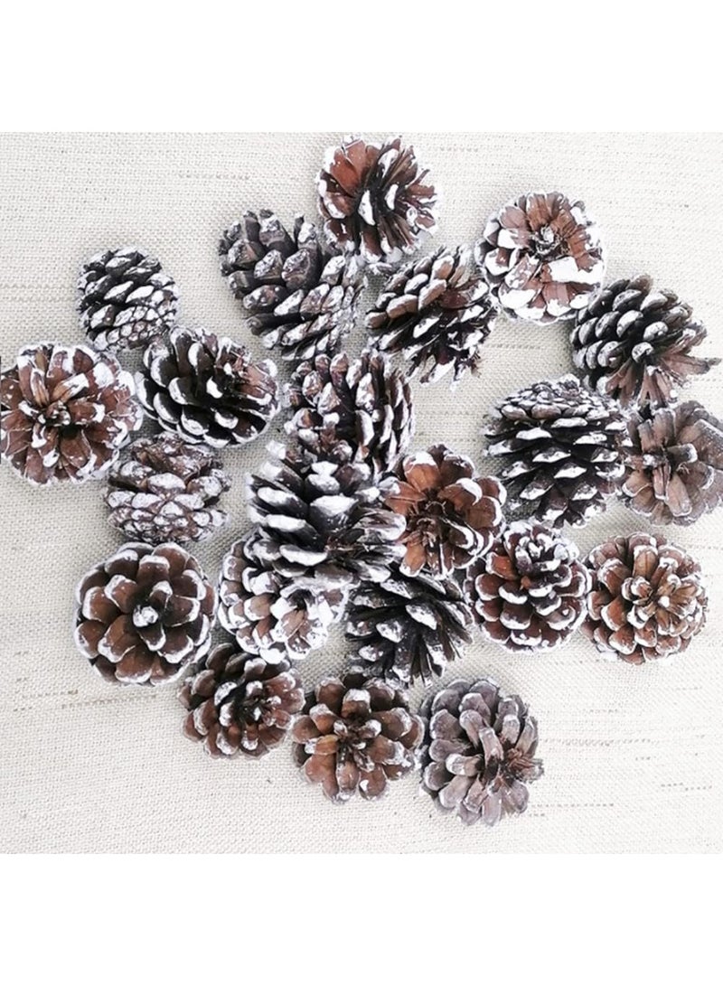 18-Piece Natural Pine Cone Christmas Ornaments Set - Frosted Snow-Tipped Cones - Rustic Holiday Decorations for Tree and Wreaths - Image 1