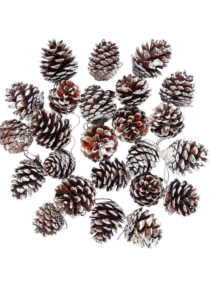 18-Piece Natural Pine Cone Christmas Ornaments Set - Frosted Snow-Tipped Cones - Rustic Holiday Decorations for Tree and Wreaths - Image 3