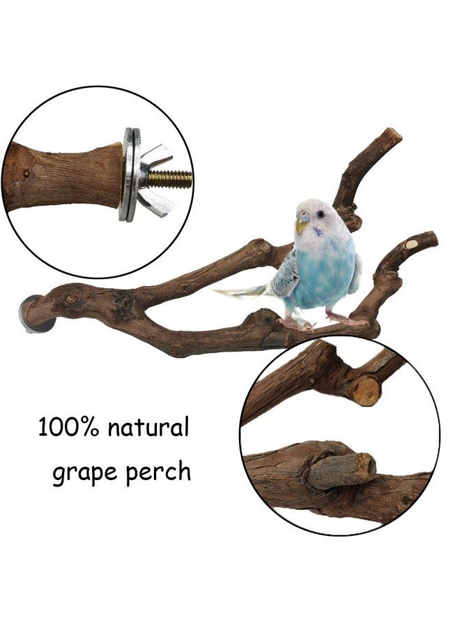 Kathson kathson Natural Parrot Perch Bird Stand Pole Wild Grape Stick Paw Grinding Fork Parakeet Climbing Standing Branches Toy Chewable Cage Accessories for Small Budgies Cockatiels Lovebirds 3PCS  - Image 2