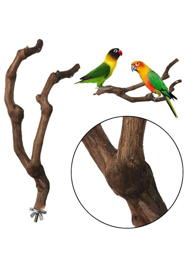 Kathson kathson Natural Parrot Perch Bird Stand Pole Wild Grape Stick Paw Grinding Fork Parakeet Climbing Standing Branches Toy Chewable Cage Accessories for Small Budgies Cockatiels Lovebirds 3PCS  - Image 5