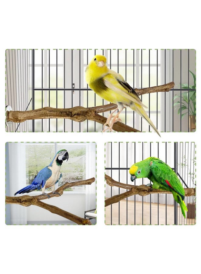 Kathson kathson Natural Parrot Perch Bird Stand Pole Wild Grape Stick Paw Grinding Fork Parakeet Climbing Standing Branches Toy Chewable Cage Accessories for Small Budgies Cockatiels Lovebirds 3PCS  - Image 3