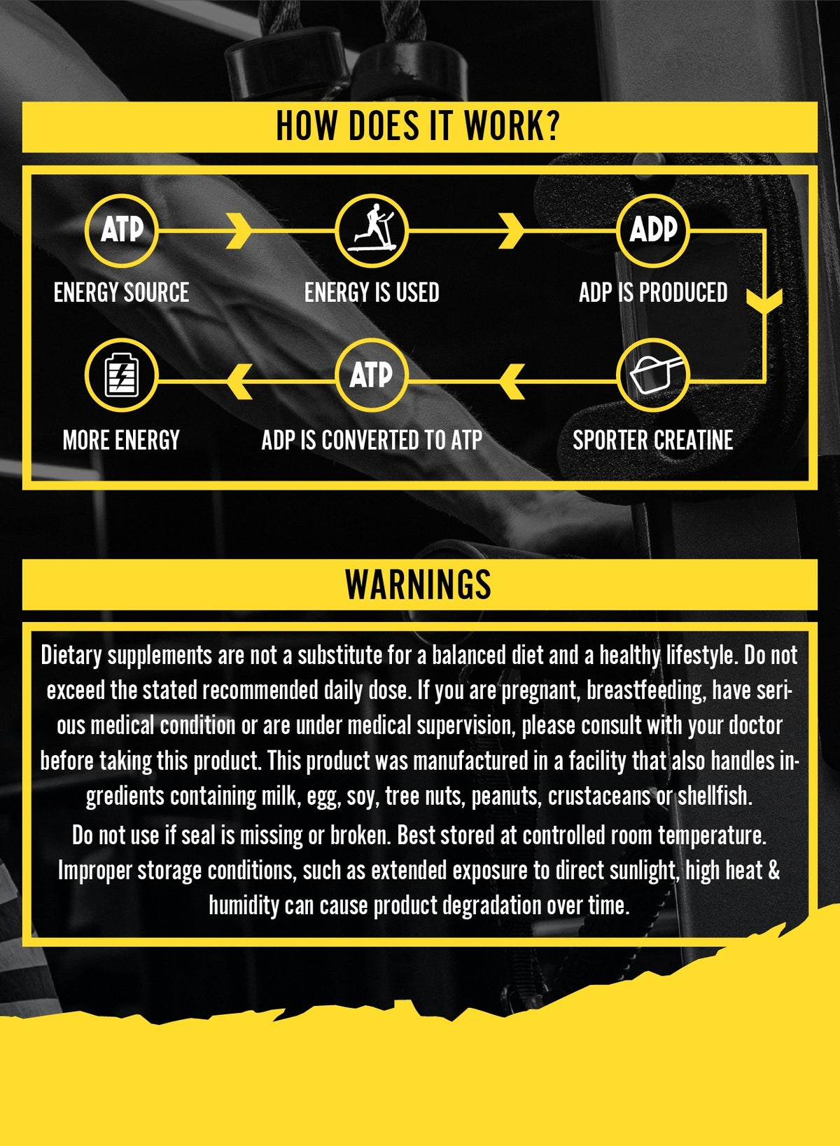 Sporter Unflavored Creatine Monohydrate Powder 400g 80 Servings