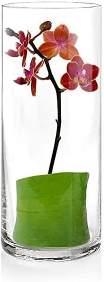Incrizma Clear Glass Cylinder Vase - Image 5