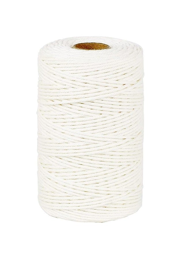 خيوط طبخ 656 قدم خيوط خيوط قطنية 2 مم, خيوط قطنية قوية وآمنة للطعام, لربط خيوط تغليف هدايا اللحوم حرفة تغليف نباتات الحديقة اليدوية لفنون التعبئة والتغليف ديكور المنزل - Image 1