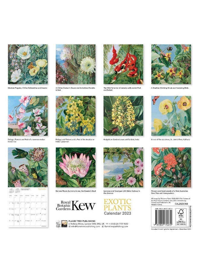 Kew Gardens: Marianne North Wall Calendar 2023 (Art Calendar)  - Image 2