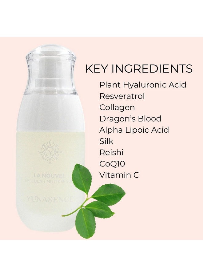 سويت سيشن ثيرابي سيروم لانوفيل الخلوي المغذي بحمض الهيالورونيك مع الكولاجين / الإيلاستين والببتيدات ودم التنين والريسفيراترول 1 أونصة جديد - Image 3