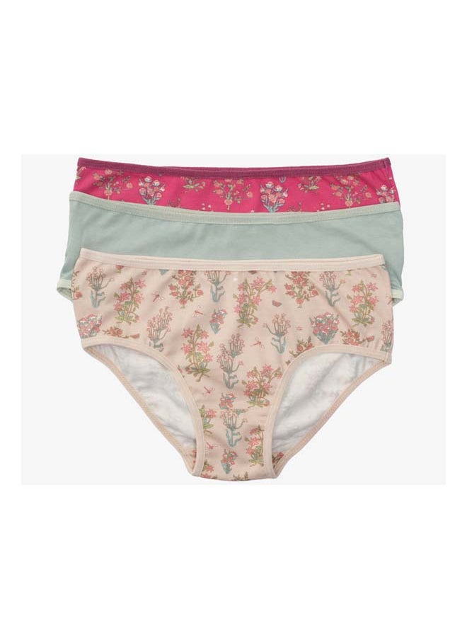 Pack of 3 Colored Brief Panties - pzsku/ZC1ED5A0163B15664BBD5Z/45/_/1737298439/60f6c056-64cd-4600-a7c8-b62fdb68577d