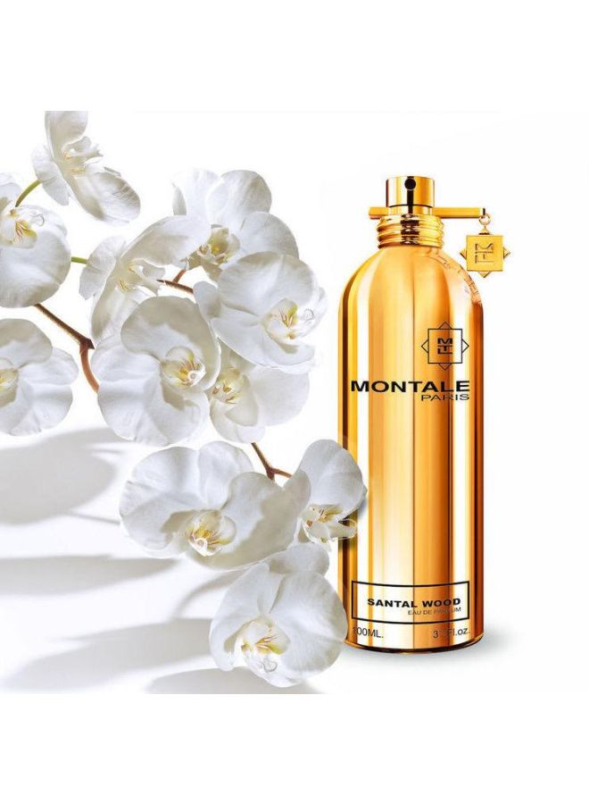 MONTALE Santal Wood EDP 100ml - Image 5