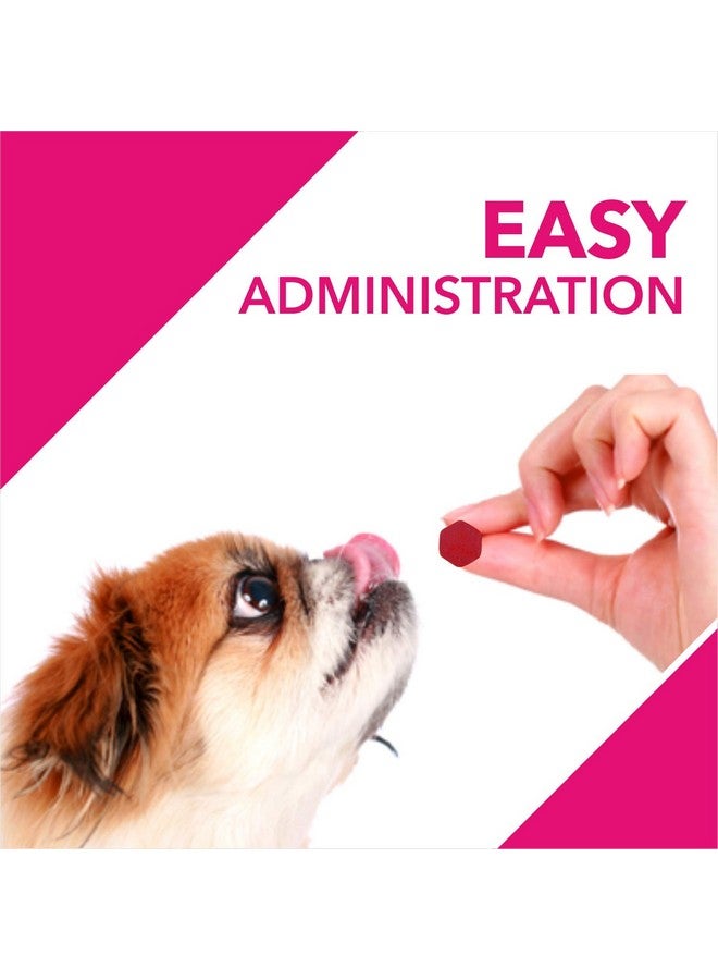 Drools Absolute Dog Supplement Tablet, Skin + Coat 400g 110 Pieces Jar - Image 4