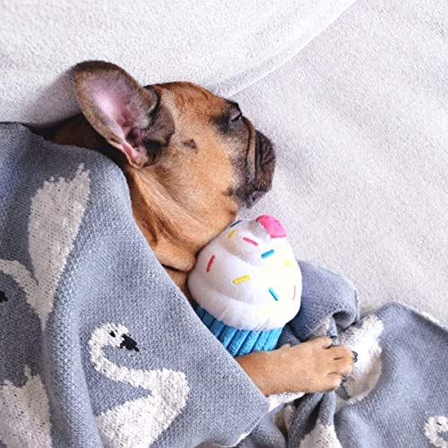 ZippyPaws Birthday Cupcake- Dog Squeaky Toys to Keep Them Busy, Funny Food Plush for Small, Medium, & Large Dogs, Cute Stuffed Puppy Toy, Pet Products, Gift for Dogs of All Breeds, Soft & Cuddly- Blue - Image 5
