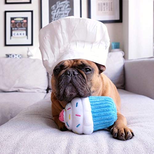 ZippyPaws Birthday Cupcake- Dog Squeaky Toys to Keep Them Busy, Funny Food Plush for Small, Medium, & Large Dogs, Cute Stuffed Puppy Toy, Pet Products, Gift for Dogs of All Breeds, Soft & Cuddly- Blue - Image 4