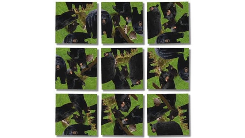 B Dazzle Scramble Squares Black Bears 9 Piece Challenging Puzzle Ultimate Brain Teaser and Mind Game for Young and Senior Alike Engaging and Creative With Artwork - Image 4