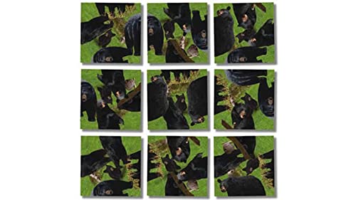 B Dazzle Scramble Squares Black Bears 9 Piece Challenging Puzzle Ultimate Brain Teaser and Mind Game for Young and Senior Alike Engaging and Creative With Artwork - Image 1