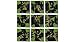 B Dazzle Scramble Squares Black Bears 9 Piece Challenging Puzzle Ultimate Brain Teaser and Mind Game for Young and Senior Alike Engaging and Creative With Artwork - Image 2