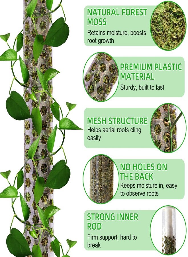 Fabulas 55 Inch Moss Pole Monstera Plant Support, 4 Pack 17 Inch Plant Support Stakes for Indoor Climbing Plants, Stackable Sphagnum Moss Pole Sticks for Garden Potted Planter, Pothos, Philodendron - Image 2