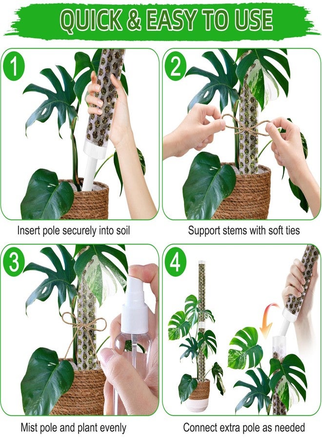 Fabulas 55 Inch Moss Pole Monstera Plant Support, 4 Pack 17 Inch Plant Support Stakes for Indoor Climbing Plants, Stackable Sphagnum Moss Pole Sticks for Garden Potted Planter, Pothos, Philodendron - Image 3