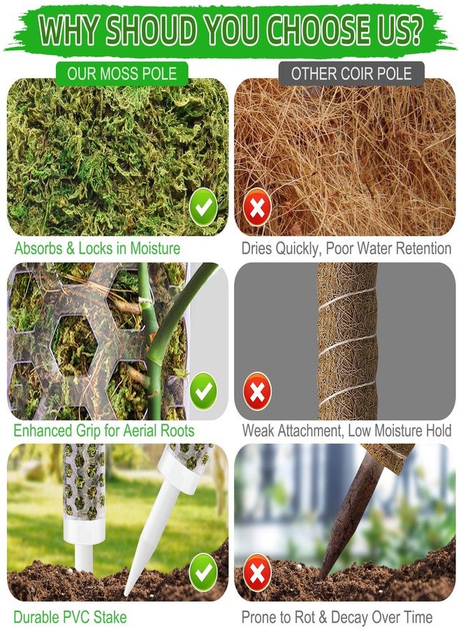Fabulas 55 Inch Moss Pole Monstera Plant Support, 4 Pack 17 Inch Plant Support Stakes for Indoor Climbing Plants, Stackable Sphagnum Moss Pole Sticks for Garden Potted Planter, Pothos, Philodendron - Image 5