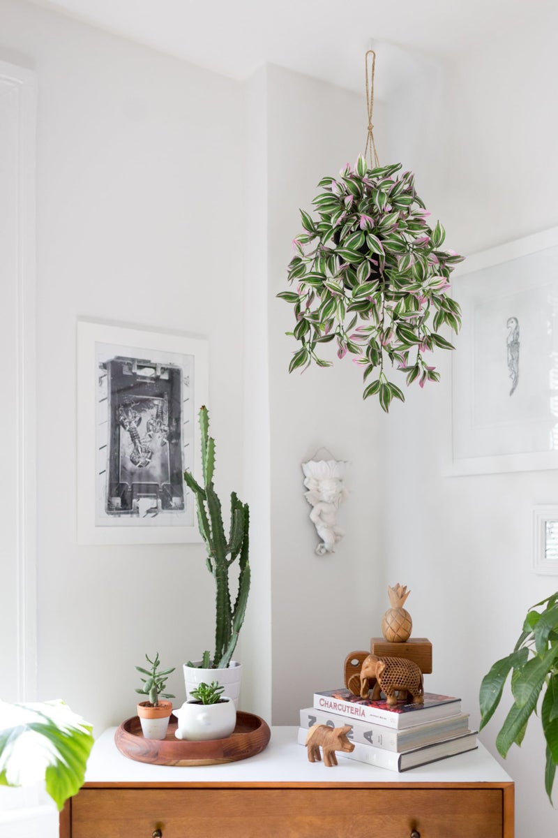 Briful Fake Hanging Plants 17.7" Faux Watermelon Peperomia Silk Plants with Black Pot Artificial Hanging Greenery for Home Garden Balcony Outdoor Patio Decor - Image 5