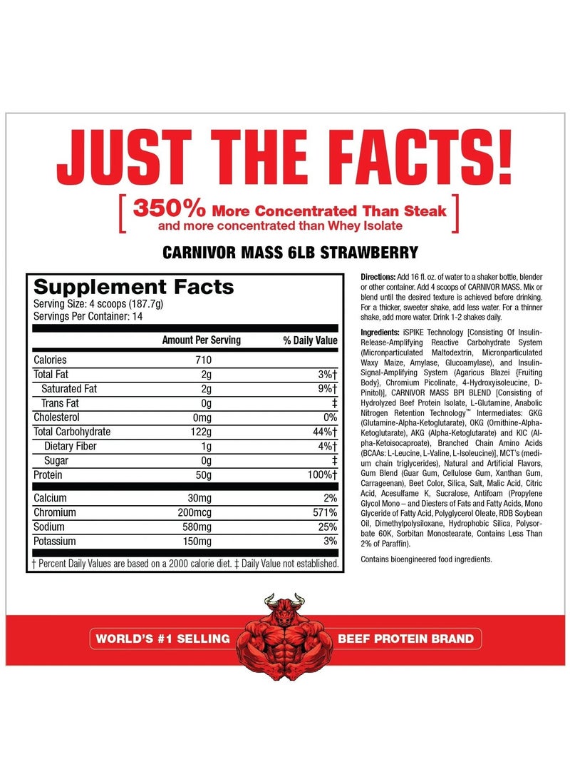 MUSCLEMEDS Carnivor Mass Anabolic Beef Protein Gainer Strawberry Flavor 14 Servings.  - Image 2