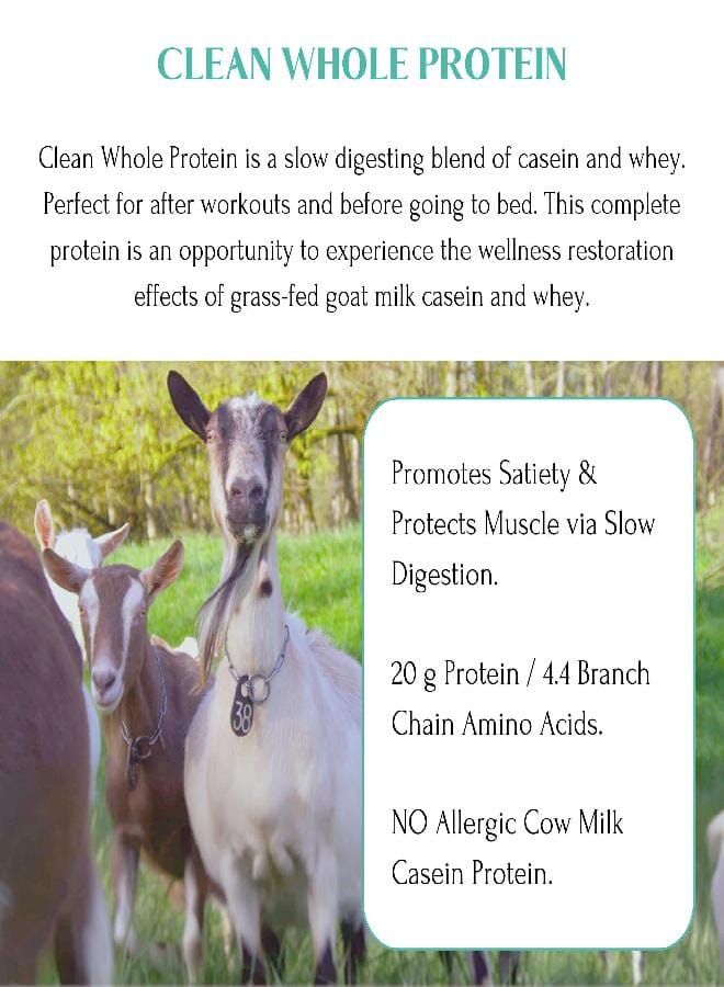 Mt Capra Mt. Capra Clean Whole Protein | Grass-Fed Goat Protein with Whey and Casein Protein | No Bloat, Build and Maintain Muscle, 20 g Protein per Serving, No Sweeteners | 13 Servings - 400 g - Image 4
