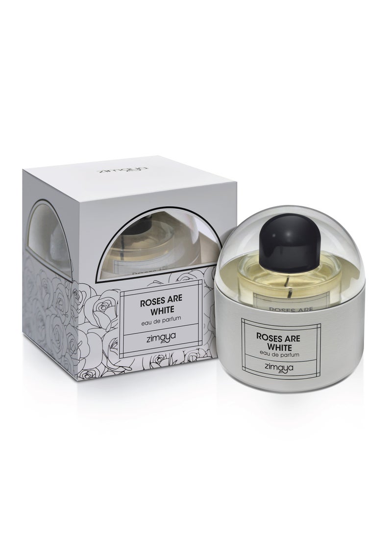 zimaya Roses Are White Eau De Parfum For Men, 100ML  - Image 2