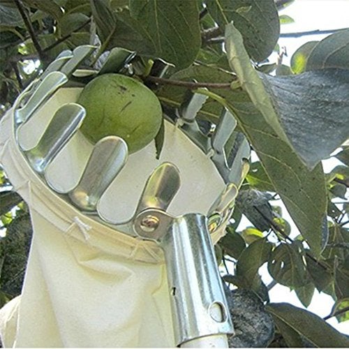 SYGA Fruit Picker Head Basket or Fruit Picking Tools, Fruits Catcher for Harvest Picking Apple Citrus,Pear,Peach, etc - Image 5