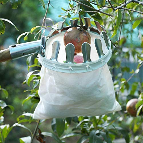 SYGA Fruit Picker Head Basket or Fruit Picking Tools, Fruits Catcher for Harvest Picking Apple Citrus,Pear,Peach, etc - Image 3