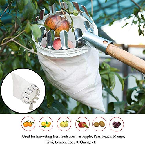SYGA Fruit Picker Head Basket or Fruit Picking Tools, Fruits Catcher for Harvest Picking Apple Citrus,Pear,Peach, etc - Image 4