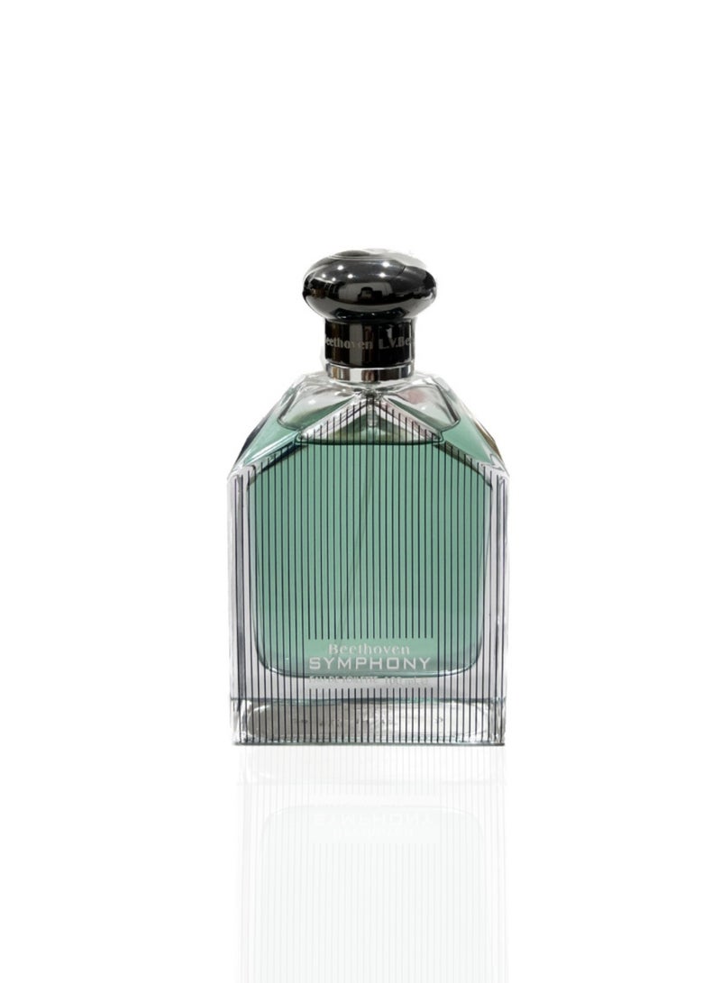 لي في بيتهوفن إل في بيتهوفن سيمفوني للرجال أو دو تواليت 100 مل - Image 2