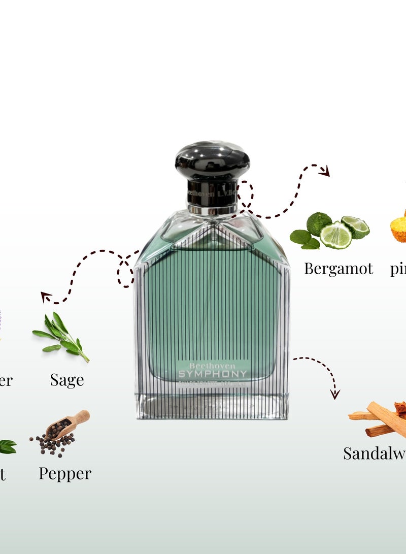 لي في بيتهوفن إل في بيتهوفن سيمفوني للرجال أو دو تواليت 100 مل - Image 4