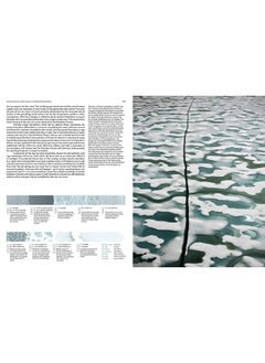 Antarctic Resolution  - Image 2