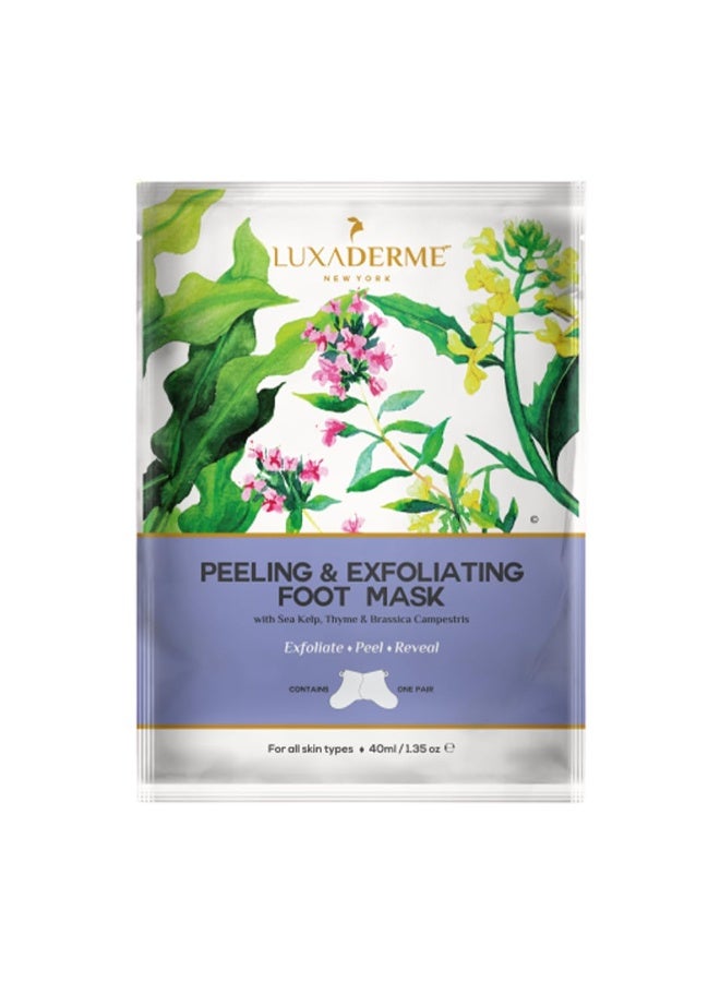 LuxaDerme Korean Peeling & Exfoliating Foot Mask for Baby Soft Feet | Removes Dry Skin & Hard Calluses | Hydrates Dry Feet (Pack of 1) - Image 1