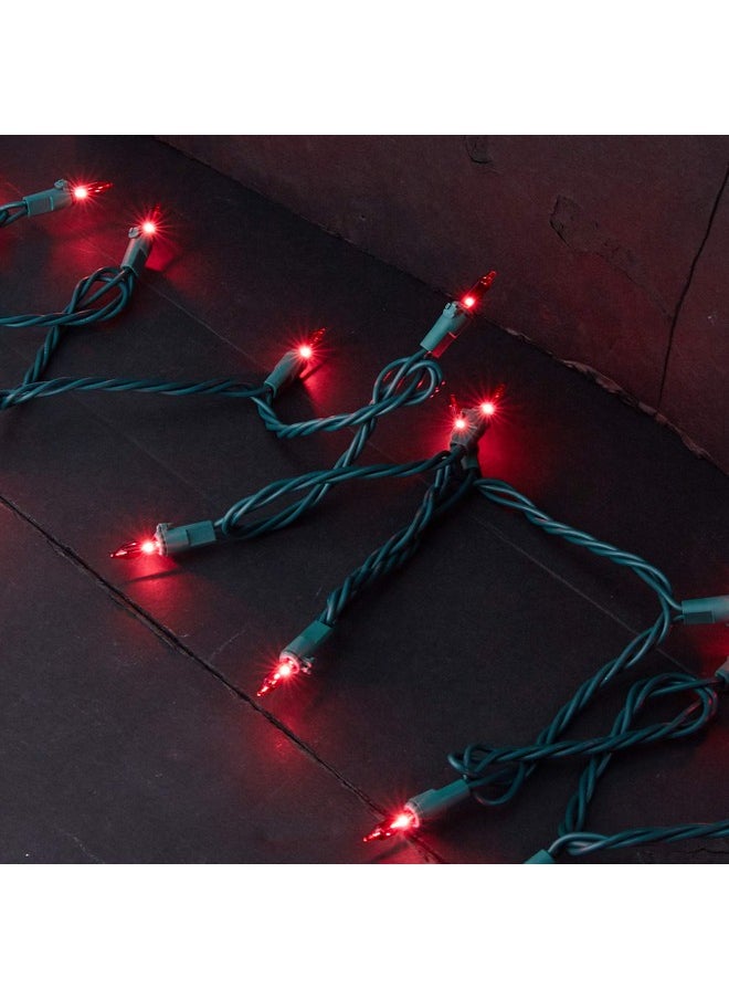 Vickerman - 50 Lights Pink Green Wire End Connecting Lock Set With 4 Inch Spacing And 16 Feet Length Comes In Box - Image 1