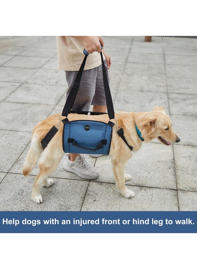 Coodeo COODEO Dog Carry Sling, Emergency Backpack Pet Legs Support & Rehabilitation Dog Lift Harness for Nail Trimming, Dog Carrier for Senior Dogs Joint Injuries, Arthritis, Up and Down Stairs (M, Blue) - Image 4