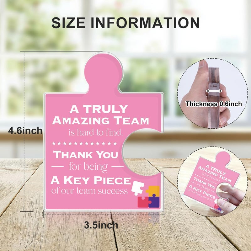 Yigaue Teams Thank You Appreciation Gifts for Women, Teamwork Gift Best Team Ever Gifts for Coworkers Colleagues Employees, a Truly Amazing Team Is Hard to Find Acrylic Puzzle Piece Plaque Office Decor - Image 2