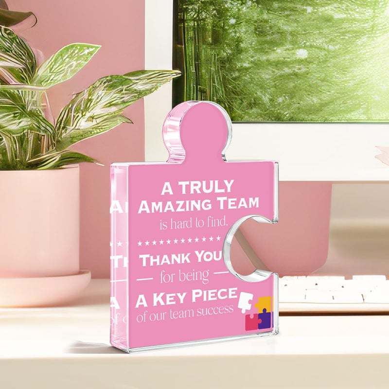 Yigaue Teams Thank You Appreciation Gifts for Women, Teamwork Gift Best Team Ever Gifts for Coworkers Colleagues Employees, a Truly Amazing Team Is Hard to Find Acrylic Puzzle Piece Plaque Office Decor - Image 3
