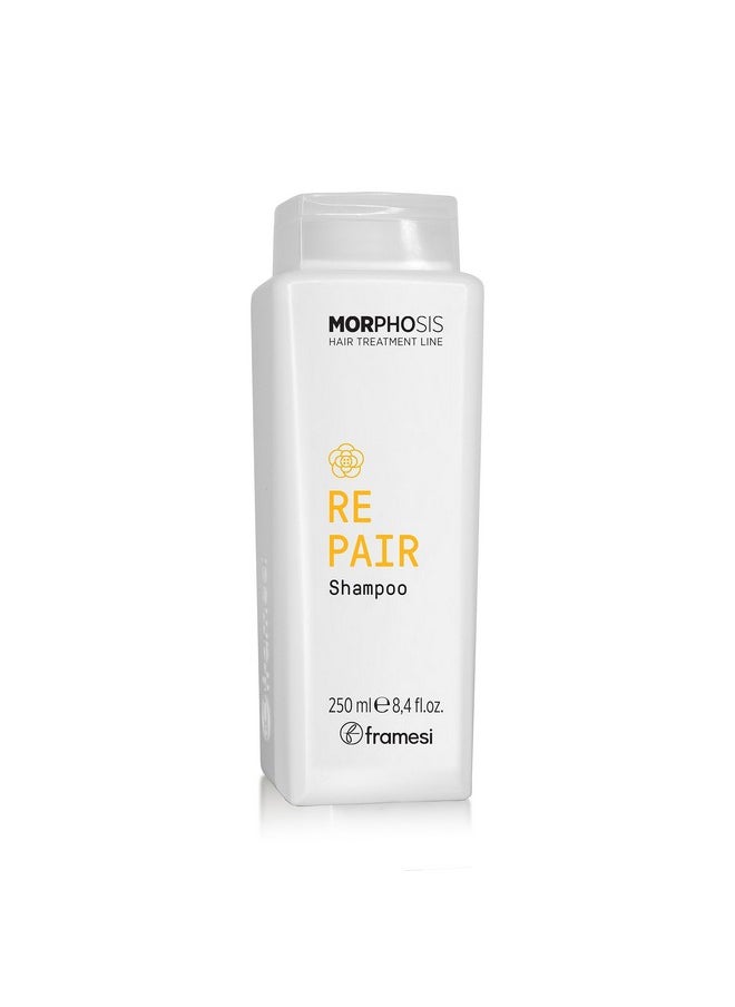 framesi Ramesi Morphosis Repair Shampoo 8.4 Fl Oz  - Image 2