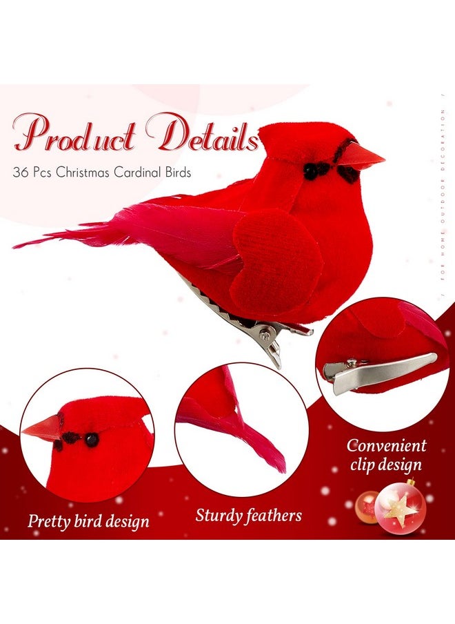 Taiyin Taiyin 36 Pcs Red Cardinal with Clip on Christmas Tree Ornament Mini Red Feather Fake Birds Decorations Bird Craft Ornament for Christmas Tree Home Outdoor Wreath Arts Decoration  - Image 3