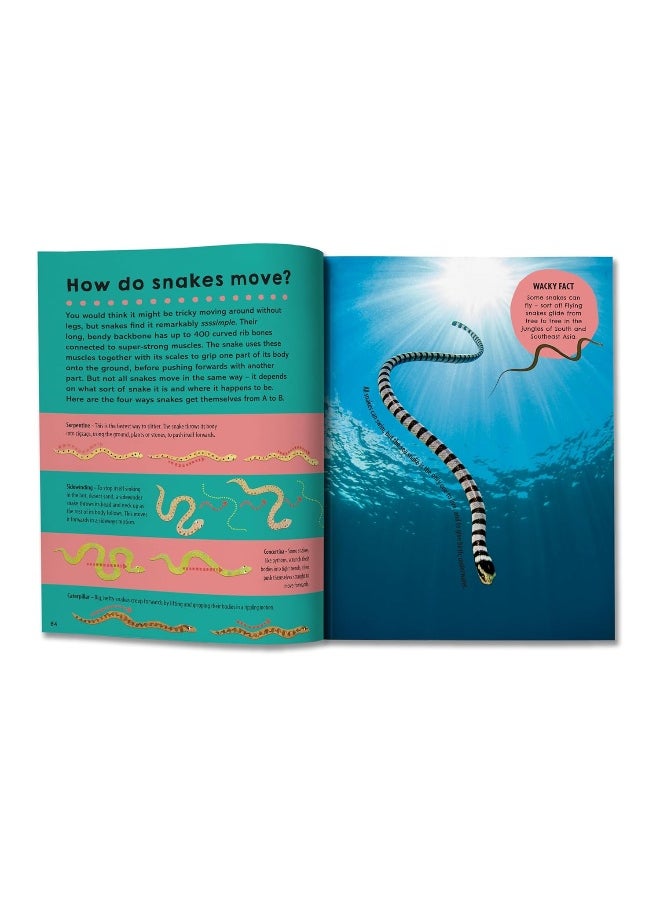 null - First Big Book of How: How do polar bears keep warm? How do keys open locks? How do spacesuits work? The ultimate book of answers for kids who need to know HOW! - Image 1