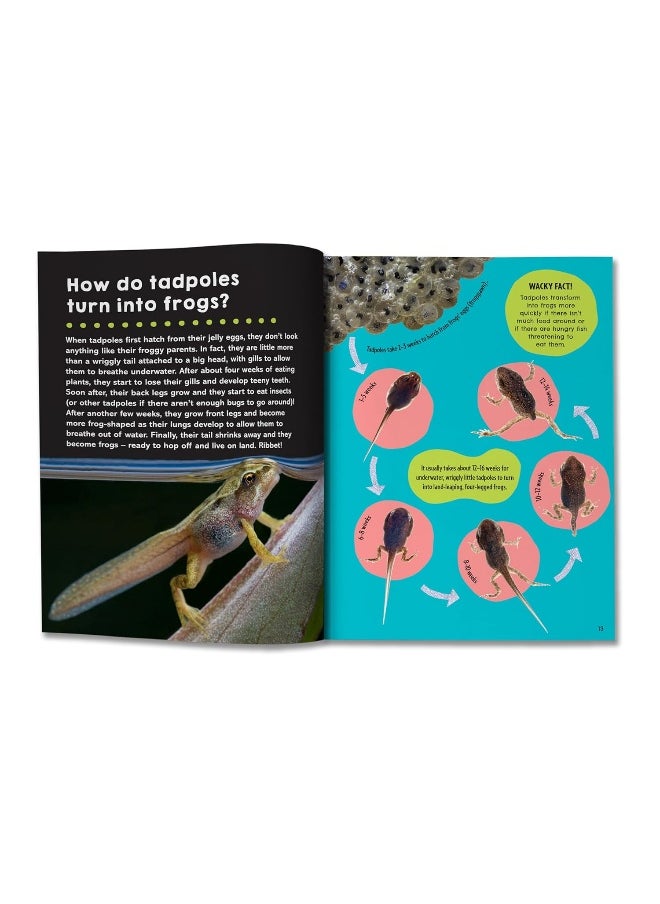 null - First Big Book of How: How do polar bears keep warm? How do keys open locks? How do spacesuits work? The ultimate book of answers for kids who need to know HOW! - Image 1
