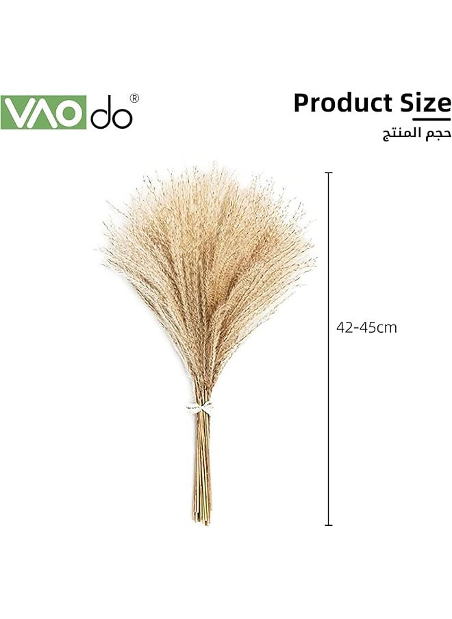 erorex 110 Pcs Natural Dried Pampas Grass Dried Plants Decor Billy Gold Balls Reed Grass Pampas Grass Natural Bunny Tails For Wedding Flowers Home Table Decor Rustic Farmhouse Party  - Image 4