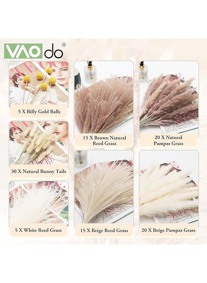 erorex 110 Pcs Natural Dried Pampas Grass Dried Plants Decor Billy Gold Balls Reed Grass Pampas Grass Natural Bunny Tails For Wedding Flowers Home Table Decor Rustic Farmhouse Party  - Image 2
