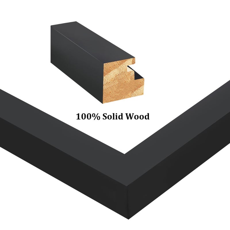 Egofine 8x12 إطارات الصورة مجموعة سوداء من 4 مصنوعة من خشب صلبة مغطاة بملفات زجاجية مملوءة بـ 5 × 7/6x8 أو 8x12 بدون حصيرة لتصاعد الجدول والجدار - Image 2