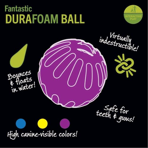 StarMark Fantastic Foam Large Ball, Colors Vary - Image 5