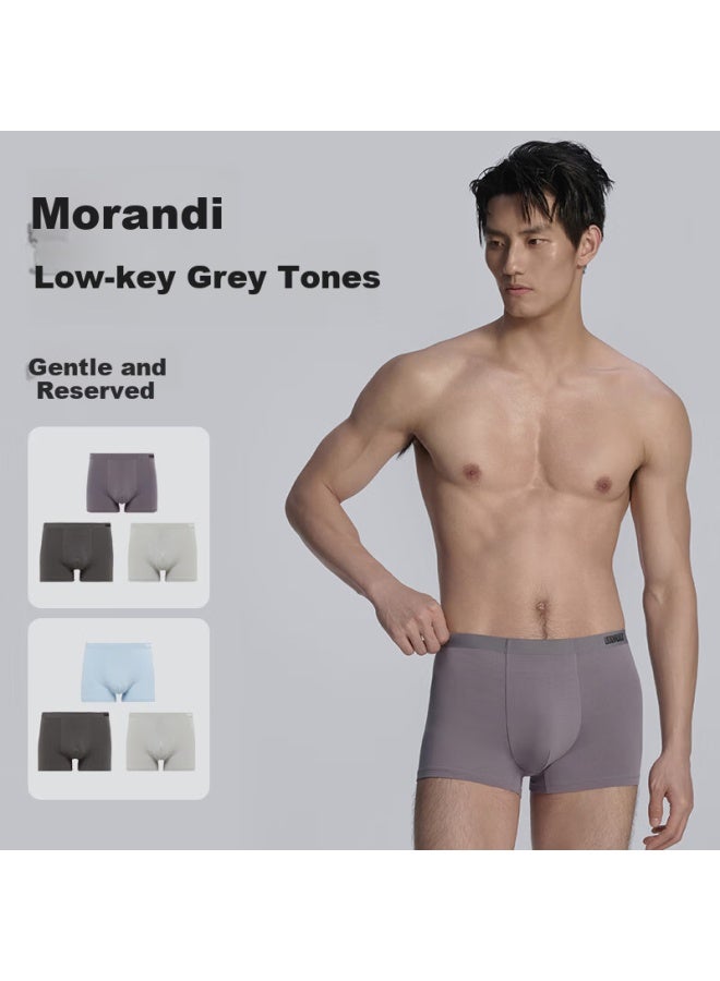 Bodywild Men's Underwear Spring/summer [3-pack], Cotton Antibacterial Men's Boxer Briefs Zbn23vu1 4XL - Image 1