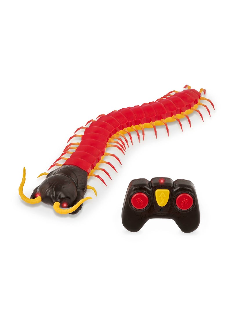 Terra RC Centipede: Giant Scolopendra - Image 2