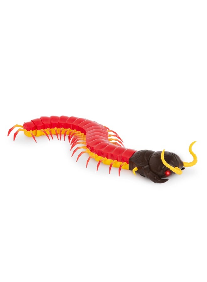 Terra RC Centipede: Giant Scolopendra - Image 3