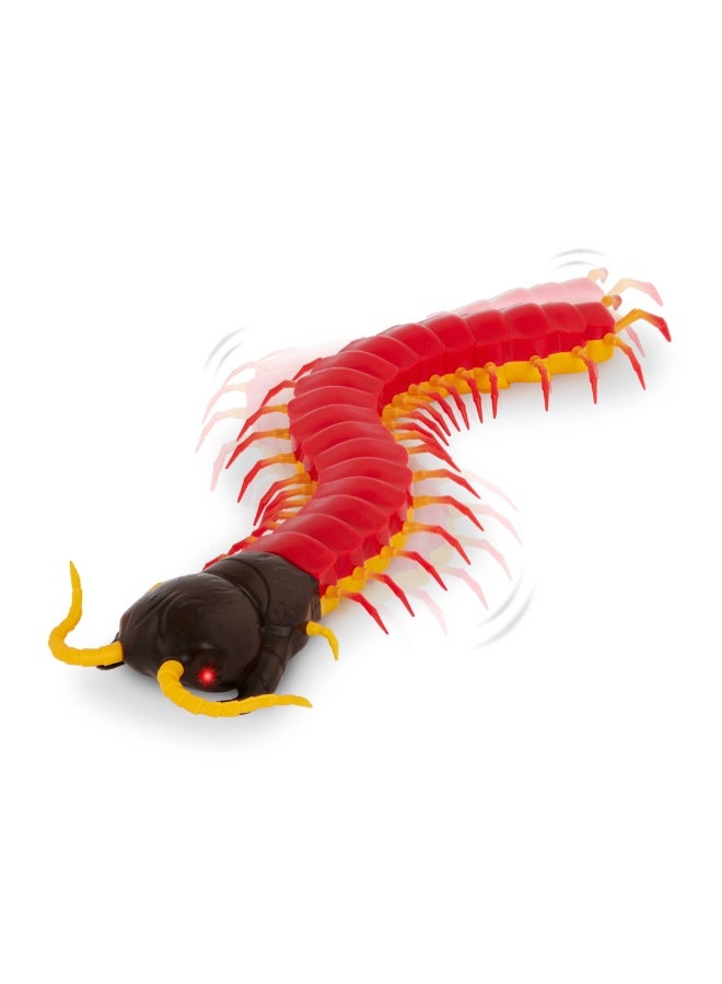 Terra RC Centipede: Giant Scolopendra - Image 4